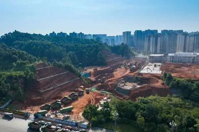 提速攻坚！杨山路新建工程全速推进